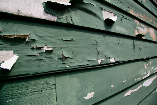 Shed Removal in Fort Polk North, LA