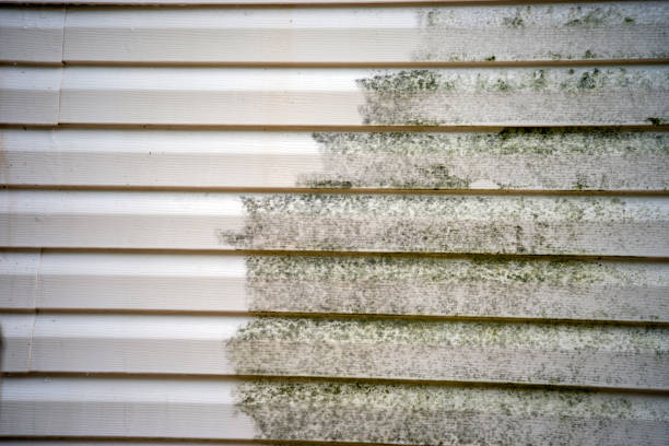 Best Hoarding Cleanup  in Fort Polk North, LA