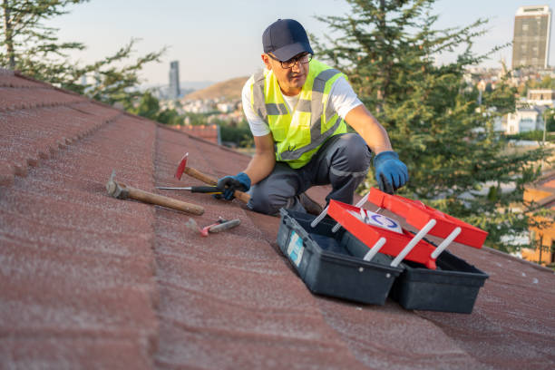 Best Yard Waste Removal  in Fort Polk North, LA